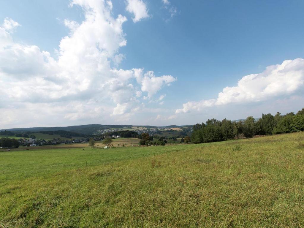 Ferienwohnung Ripa Erzgebirge In Schwarzenberg Schwarzenberg  Exteriör bild