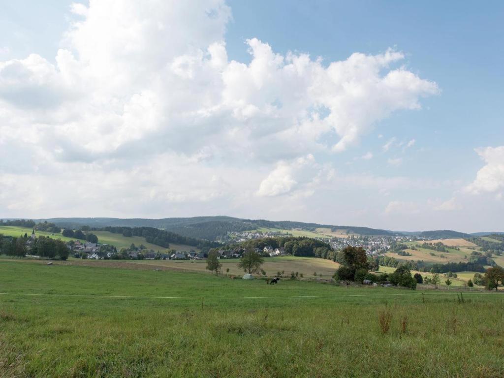 Ferienwohnung Ripa Erzgebirge In Schwarzenberg Schwarzenberg  Exteriör bild